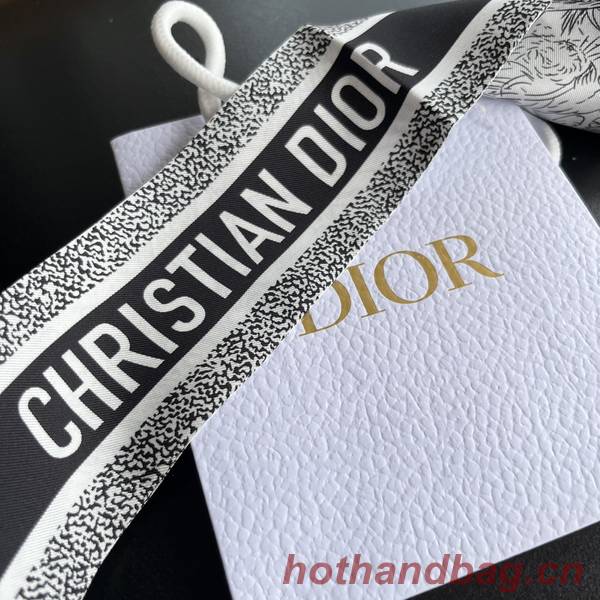 Dior Scarf DIC00213 Dior Scarf DIC00213