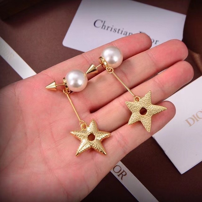 Dior Earrings CE14812