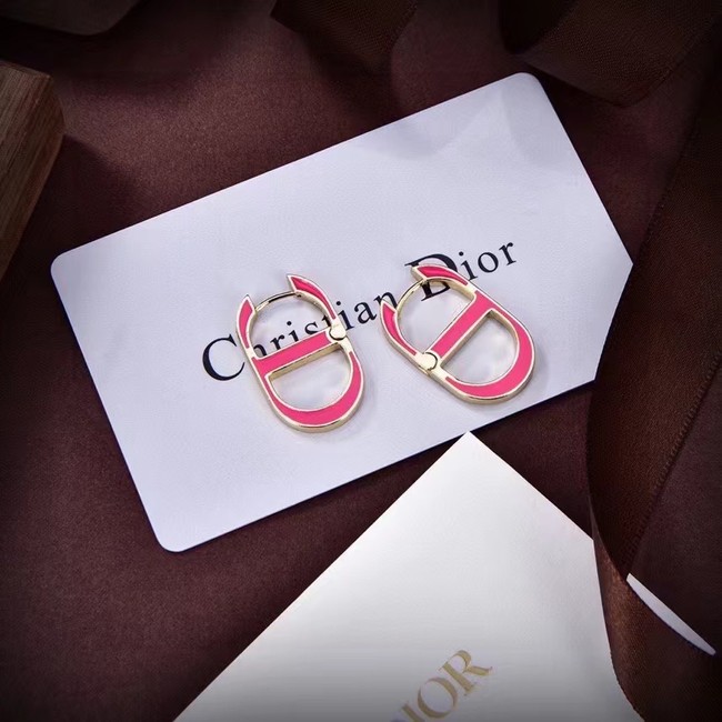 Dior Earrings CE15670