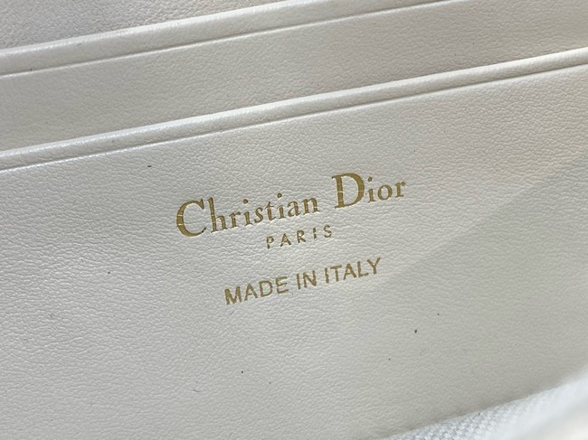DIOR 30 Montaigne Cigale Pouch with Chain S4302