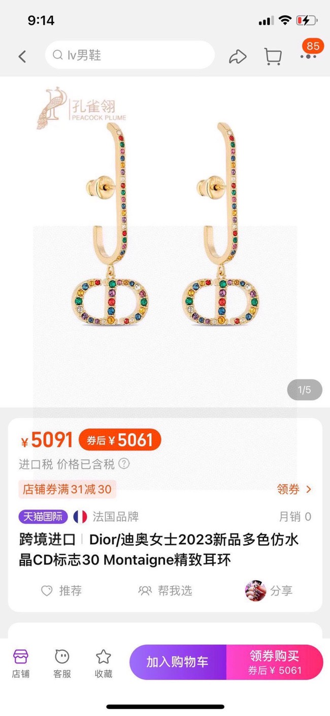 Dior Earring CE81059
