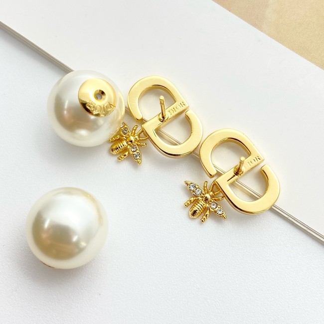 Dior Earring CE81809