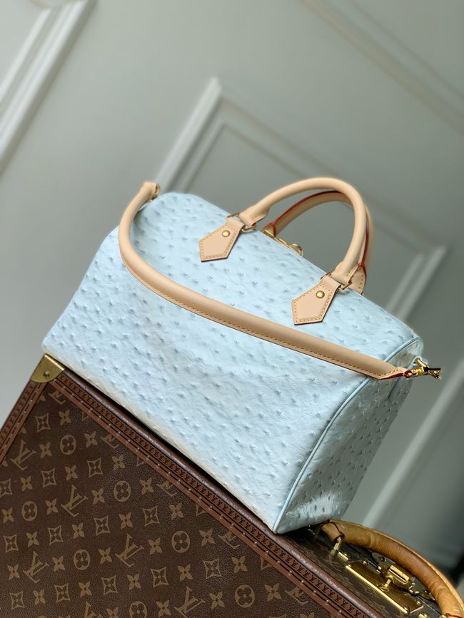 Louis Vuitton NEW Speedy Soft 30 M41112 light blue Louis Vuitton NEW Speedy Soft 30 M41112 light blue