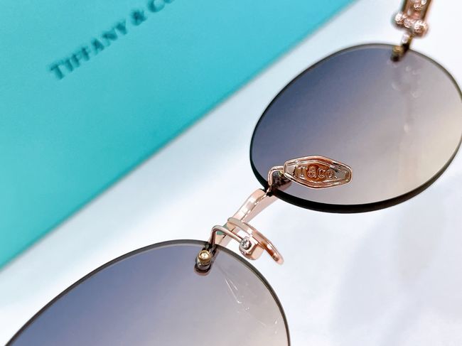 Tiffany Sunglasses 821501-6