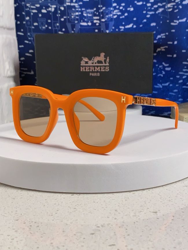 Hermes Sunglasses 821519-6 Hermes Sunglasses 821519-6