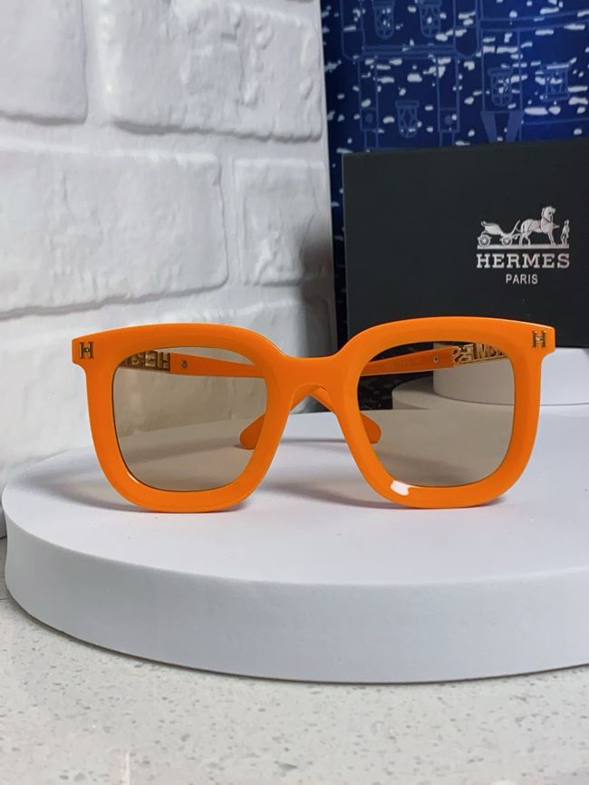 Hermes Sunglasses 821519-6 Hermes Sunglasses 821519-6