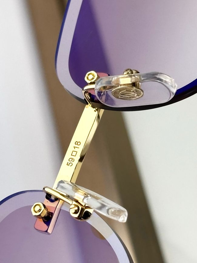 Cartier Sunglasses 821571-3