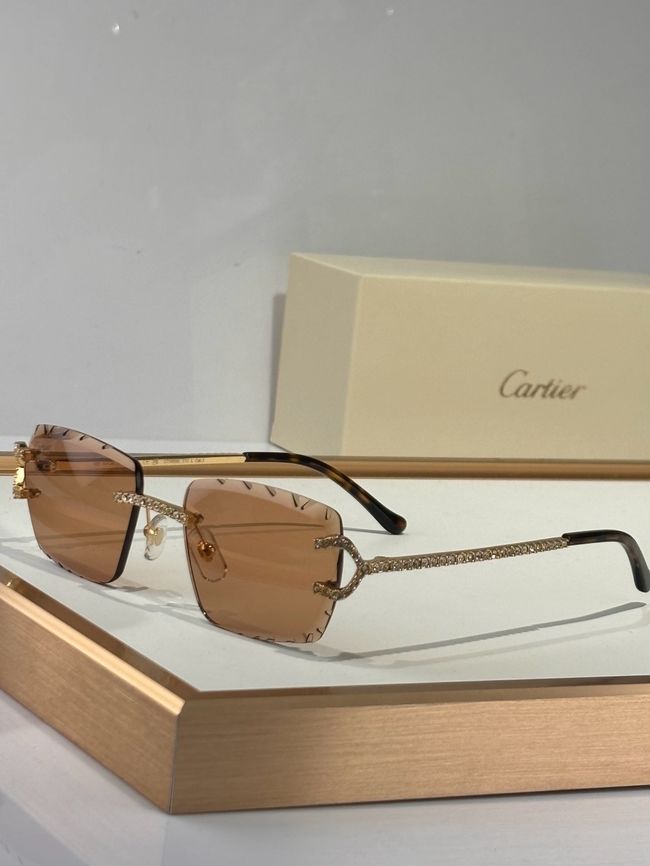 Cartier Sunglasses 821572-1 Cartier Sunglasses 821572-1