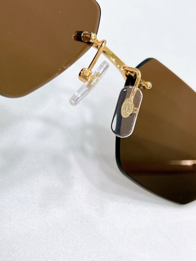 Cartier Sunglasses 821579-5