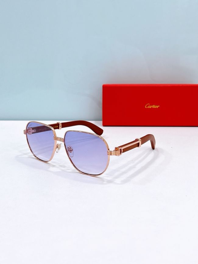 Cartier Sunglasses 821586-6