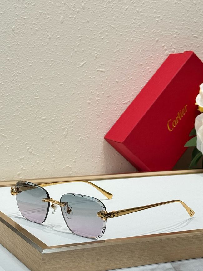 Cartier Sunglasses 821607-6