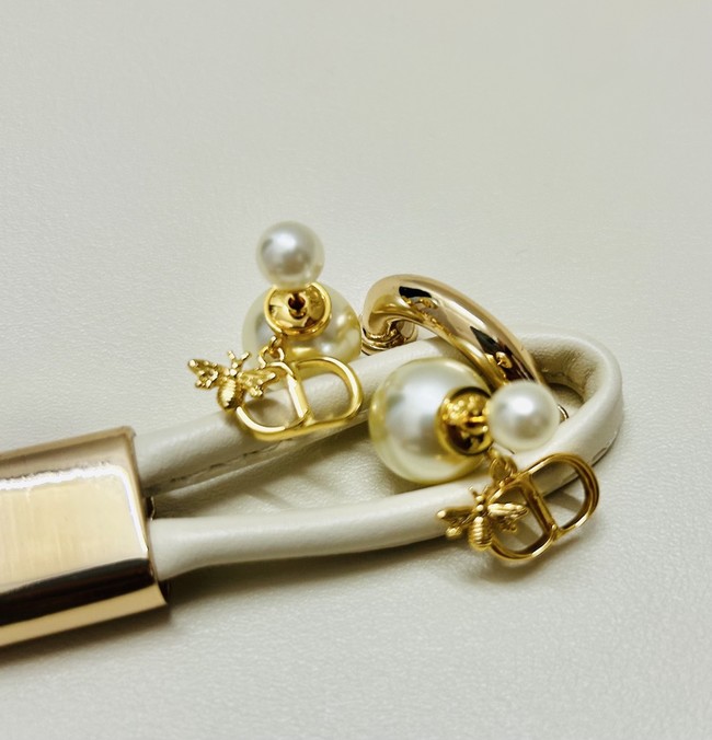 Dior Earrings CE89992 Dior Earrings CE89992